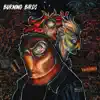Burning Birds - Take a Ride - EP